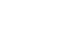 Iron Tribe